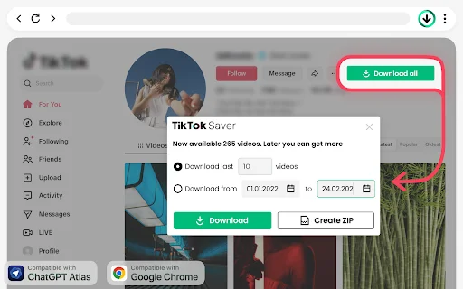 TikTok Video Downloader: I-download ang TikTok Videos nang Walang Watermark - Screenshot 1