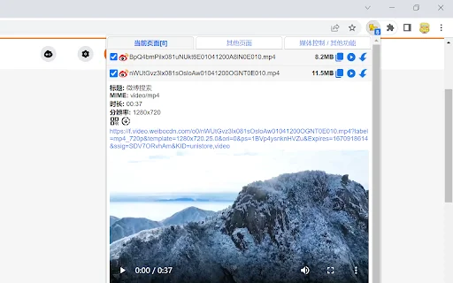 I-download ang cat-catch: Pinakamahusay na Media Sniffing Tool para sa Web - Screenshot 1