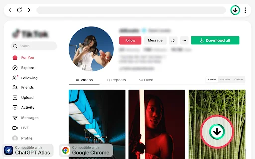 TikTok Video Downloader: I-download ang TikTok Videos nang Walang Watermark - Screenshot 4