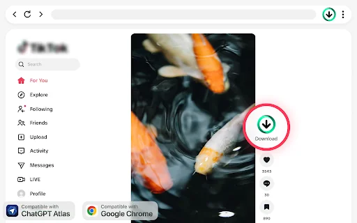 TikTok Video Downloader: I-download ang TikTok Videos nang Walang Watermark - Screenshot 2